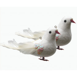 Noy Sukkah, Hanging 2 Dove, Bird