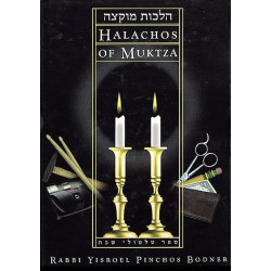 Halachos of Muktzah