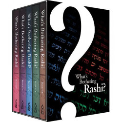 What's Bothering Rashi? 5 Volume Boxed Set