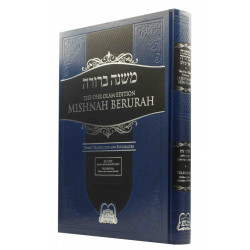 Mishnah Berurah - Vol 6E 645-669 Reg - Ohr Olam