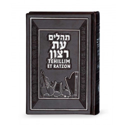 Tehillim with English translation  browm