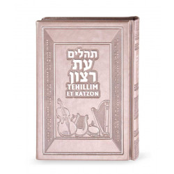 Tehillim with English translation  silver