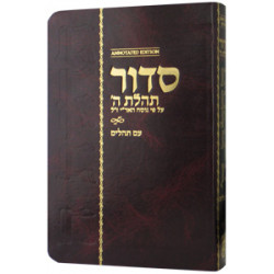 סידור תהלת ה' - Annotated Hebrew with English Instructions Compact Edition