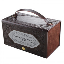 Leather Like Etrog Box With Laser Cut Plate 19*10 Cm Silver Plate