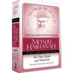 Moadei Hashanah: The Three Weeks and Tisha B'Av H/C