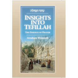 Insights Into Tefillah