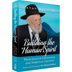 Building the Human Spirit