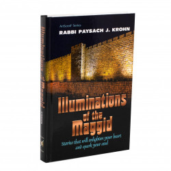 Illuminations of the Maggid - Rabbi Paysach Krohn