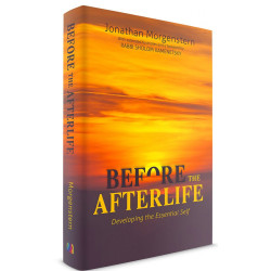 Before The Afterlife