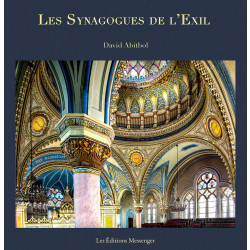 Les Synagogues De L'exil
