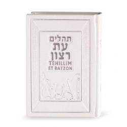 Tehillim with English translation  white