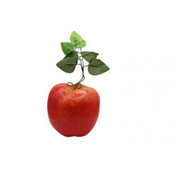 Noy Sukkah, Hanging Big Red Apple