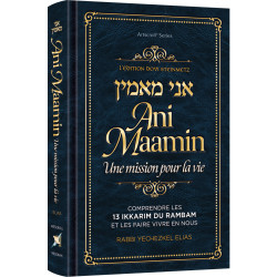 Ani Maamin: A Mission for Life: French Edition