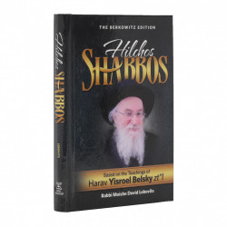 Hilchos Shabbos - Harav Yisroel Belsky zt"l