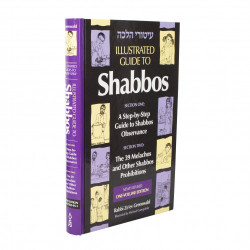 Illustrated Guide to Shabbos