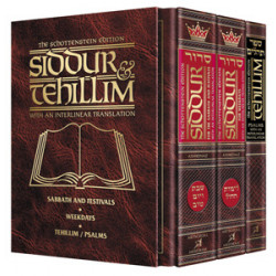 Siddur & Tehillim - Interlinear Translation 3 Vol Slipcased Set Ashkenaz