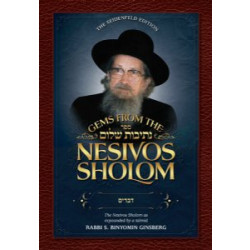 GEMS from the Nesivos Shalom - Devarim