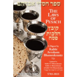 The Laws of Pesach 5783-2023 Rabbi Blumenkrantz