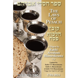 Pesach Digest 2024- Rabbi Blumenkrantz