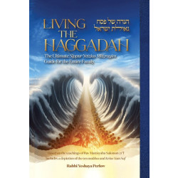 Living the Haggadah - Rav Mattisyahu Salomon