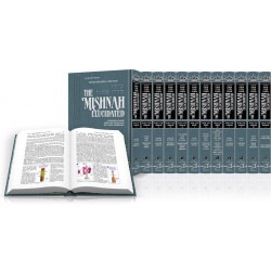 משניות ארטסקרול English Elucidated Complete 23 Volume Set