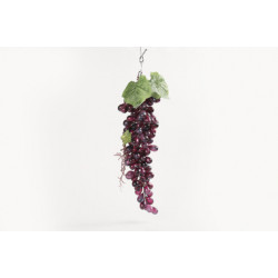 Noy Sukkah, Purple Grape Cluster 12"