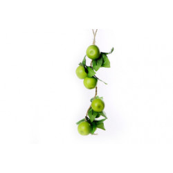 Noy Sukkah, Green Apples On a Vine