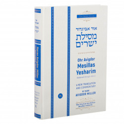 Ohr Avigdor: Mesillas Yesharim - Volume 1