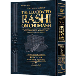 Elucidated Rashi on Chumash - Bereishis volume 2