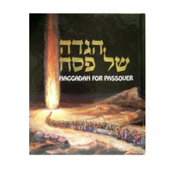 Haggadah for Passover Kleinman Large
