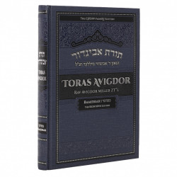 Toras Avigdor, Vol. 4: Bamidbar