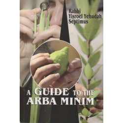 Guide To The Arba Minim