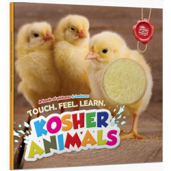 Touch Feel Learn Kosher Animals